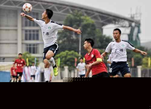 石破天惊！泰勒·亚当斯43米吊射破门为本赛季英超最远进球（惊天一脚！泰勒·亚当斯43米挑射入网，刷新本季英超最远进球纪录）